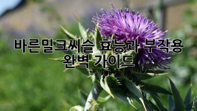 바른밀크씨슬 효능과 부작용 완벽 가이드