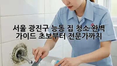 서울 광진구 능동 집 청소 완벽 가이드: 초보부터 전문가까지!