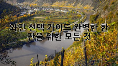 와인 선택 가이드: 완벽한 한 잔을 위한 모든 것
