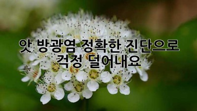 앗! 방광염? 정확한 진단으로 걱정 덜어내요